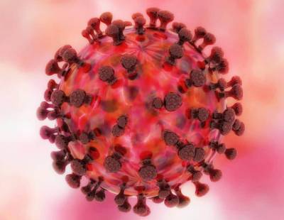 Новый штамм коронавируса убивает даже вакцинированных - germania.one - Англия - Берлин