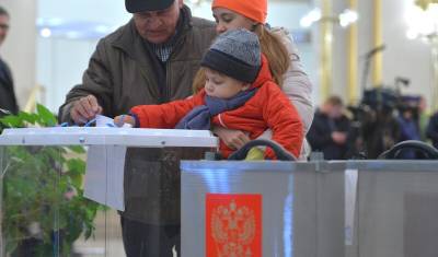 Эксперты: пандемия окажет сильное влияние на думские выборы - newizv.ru