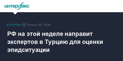 РФ на этой неделе направит экспертов в Турцию для оценки эпидситуации - interfax.ru - Россия - Москва - Турция