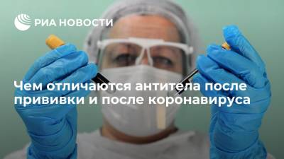 Евгений Тимаков - Врач объяснил отличие антител после прививки и коронавируса - ria.ru - Россия - Москва