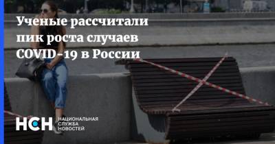 Ученые рассчитали пик роста случаев COVID-19 в России - nsn.fm - Россия - Санкт-Петербург