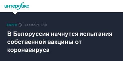 В Белоруссии начнутся испытания собственной вакцины от коронавируса - interfax.ru - Москва