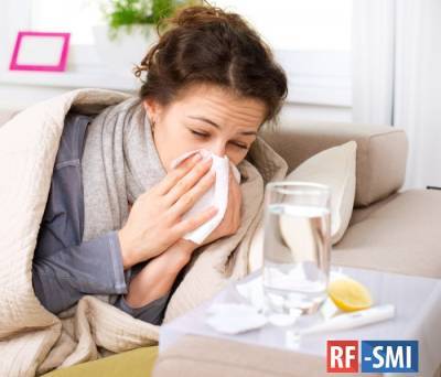 Ученые США: Простуда может защитить человека от COVID-19 - rf-smi.ru