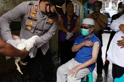 Привившимся от коронавируса в Индонезии раздают кур - lenta.ru - Индонезия
