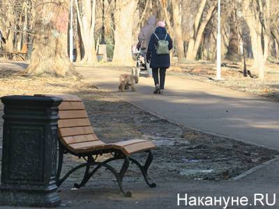 В Москве отменили запрет на использование скамеек в парках - nakanune.ru - Москва
