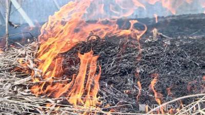 Под Тюменью горит почти 510 га леса - newdaynews.ru - Тюмень