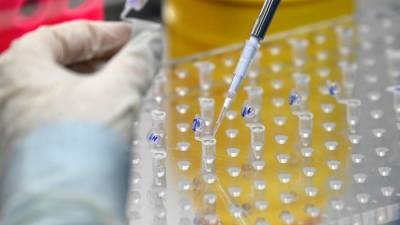 Ринат Максютов - В центре «Вектор» назвали сроки сохранения иммунитета после прививки «ЭпиВакКорона» - iz.ru - Израиль