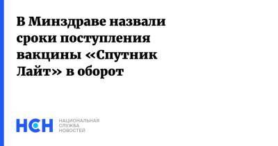 Михаил Мурашко - В Минздраве назвали сроки поступления вакцины «Спутник Лайт» в оборот - nsn.fm - Россия