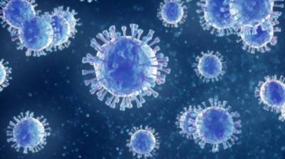 Штамм коронавируса Дельта обнаружили в Литве - ru.slovoidilo.ua - Украина - Литва - Шотландия
