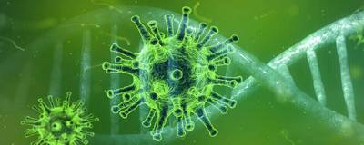 Роспотребнадзор рассказал о создании Национальной базы данных о мутациях коронавируса - runews24.ru