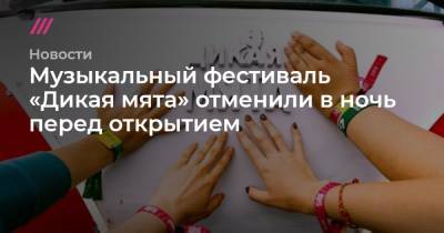 Алексей Дюмин - Музыкальный фестиваль «Дикая мята» отменили в ночь перед открытием - tvrain.ru - Тула