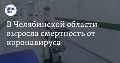 В Челябинской области выросла смертность от коронавируса - ura.news - Челябинская обл.
