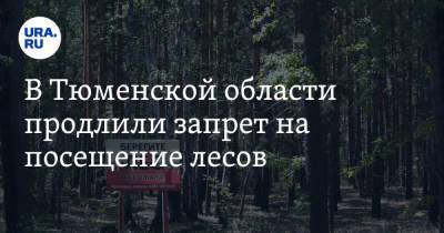 В Тюменской области продлили запрет на посещение лесов - ura.news - Тюменская обл.