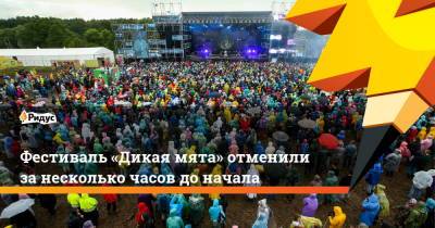 Фестиваль «Дикая мята» отменили за несколько часов до начала - ridus.ru - Тульская обл.