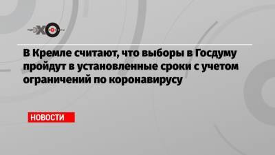 Дмитрий Песков - В Кремле считают, что выборы в Госдуму пройдут в установленные сроки с учетом ограничений по коронавирусу - echo.msk.ru - Президент