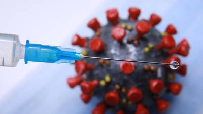 Ученые ФМБА России выявили новые линии коронавируса - iz.ru - Россия - Израиль