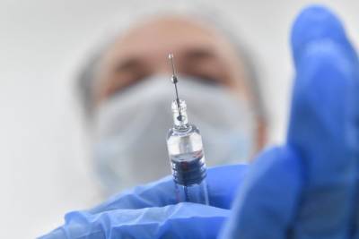 Фейковые прививки: чем грозит покупка справки о вакцинации - vm.ru - Россия - Москва