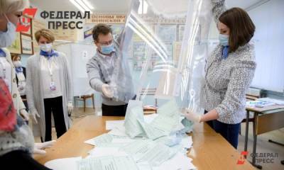 Эксперты о многодневном голосовании: «Это удобно и безопасно» - fedpress.ru - Россия - Москва