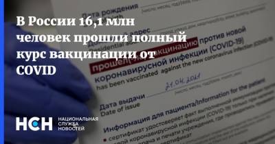 Татьяна Голикова - В России 16,1 млн человек прошли полный курс вакцинации от COVID - nsn.fm - Россия