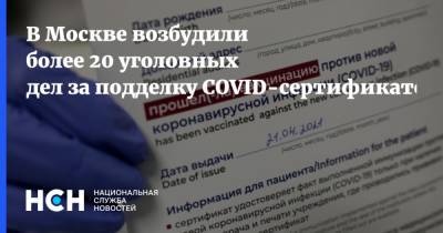 В Москве возбудили более 20 уголовных дел за подделку COVID-сертификатов - nsn.fm - Россия - Москва