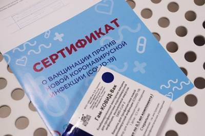 В Петербурге задержали продавцов поддельных документов о вакцинации от COVID-19 - lenta.ru - Санкт-Петербург