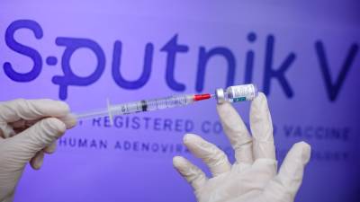 Гинцбург оценил вероятность возникновения бесплодия после прививки "Спутником V" - newinform.com