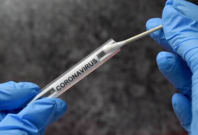 Более 43 тыс. человек сдали тест на коронавирус в Петербурге за минувшие сутки - online47.ru - Петербурга