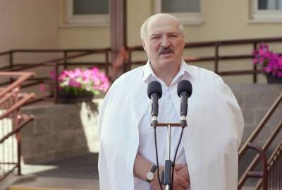 Александр Лукашенко - Беларусь отказалась принимать украинские лайнеры - topcor.ru - Минск - Киев - Президент