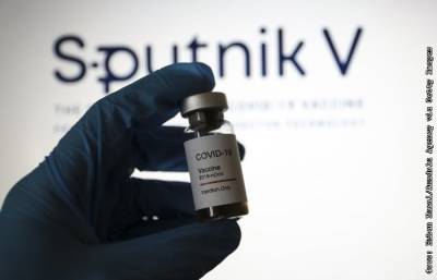 В Бразилии 4 июня рассмотрят вопрос об импорте вакцины "Спутник V" - interfax.ru - Москва - Бразилия