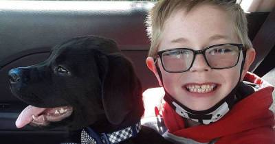 Мальчик из США продал карточки с покемонами и спас собаку от смерти - ren.tv - Сша