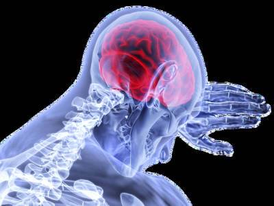 Российские ученые сообщили о риске серьезного поражения мозга из-за COVID-19 - rosbalt.ru