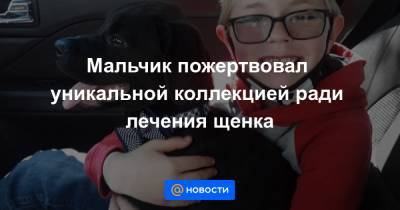 Брайсон Климанн - Мальчик пожертвовал уникальной коллекцией ради лечения щенка - news.mail.ru