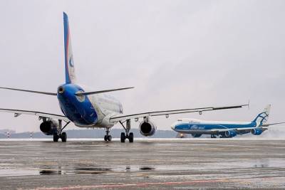 Минтранс ФРГ сообщил о причине отмены рейсов из России в Германию - vm.ru - Россия - Германия