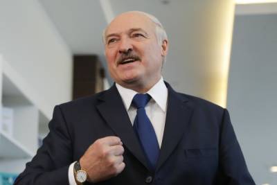 Александр Лукашенко - Лукашенко рассказал, как подпитывается антителами к коронавирусу - mk.ru - Минск - Президент