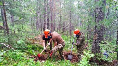 В заповеднике «Денежкин камень» горит уже 63 гектара леса - newdaynews.ru