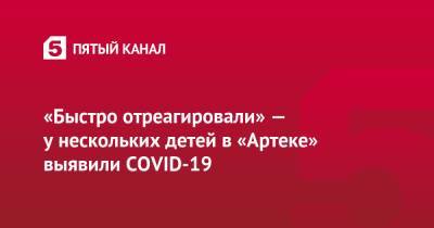 «Быстро отреагировали» — у нескольких детей в «Артеке» выявили COVID-19 - 5-tv.ru