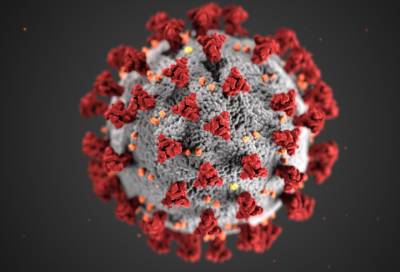 В России выявили более 17 тыс. заболевших коронавирусом за сутки - online47.ru - Россия