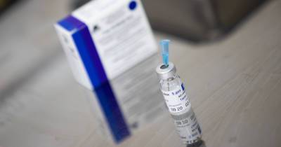 Александр Гинцбург - Гинцбург назвал срок начала вакцинации от коронавируса беременных россиянок - klops.ru - Россия