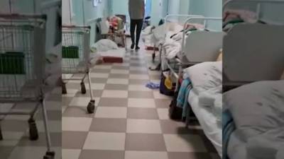 В петербургской больнице №15 пациенты лежат на полу из-за нехватки мест - piter.tv - Санкт-Петербург