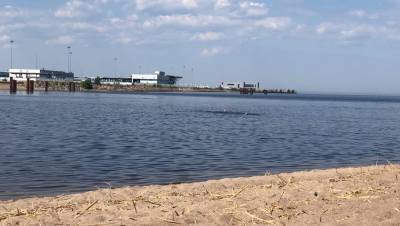Петербуржцы продолжили купаться в заливе рядом с телом утонувшего мужчины - abnews.ru