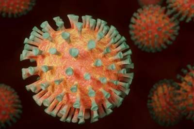 Власти Индии сообщают о появлении нового штамма коронавируса - mk.ru - Мумбаи - штат Махараштра - India