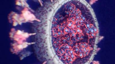 Ученые рассказали об опасных особенностях штамма коронавируса «дельта плюс» - iz.ru - Израиль - штат Махараштра - India