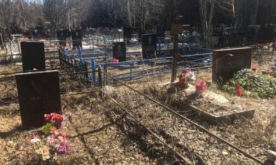 В Петрозаводске будут расширять кладбище - gubdaily.ru - Россия - Петрозаводск - республика Карелия