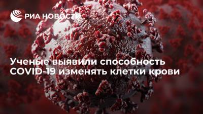 Ученые из Германии обнаружили измененные клетки крови у больных COVID-19 - ria.ru - Москва