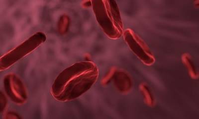 Немецкие ученые выяснили, что коронавирус способен влиять на свойства клеток крови - argumenti.ru