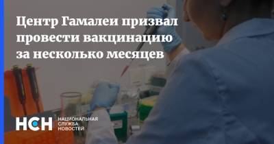 Владимир Гущин - Центр Гамалеи призвал провести вакцинацию за несколько месяцев - nsn.fm