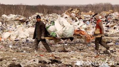 Денис Буцаев - «Перерабатываем десятую часть»: «мусорная реформа» в России продолжает «буксовать» - newdaynews.ru - Россия