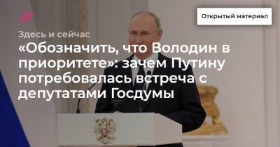 «Обозначить, что Володин в приоритете»: зачем Путину потребовалась встреча с депутатами Госдумы - tvrain.ru - Президент