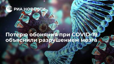 Ученые из Оксфорда объяснили, почему зараженные коронавирусом теряют обоняние - ria.ru - Москва