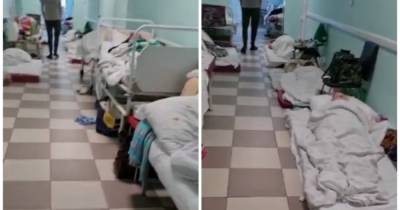 В Санкт-Петербурге COVID-больных размещают на полу в больнице (видео) - focus.ua - Россия - Санкт-Петербург
